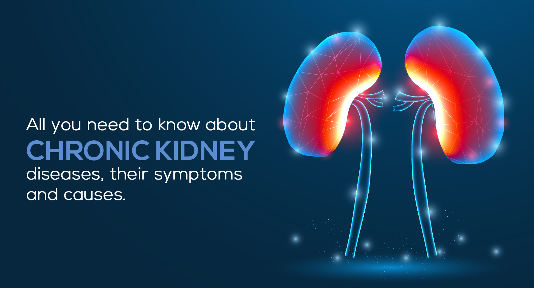All you need to know about chronic kidney diseases, their symptoms, and causes