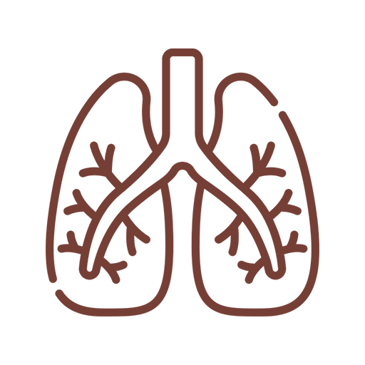 Pulmonology & Respiratory Medicine