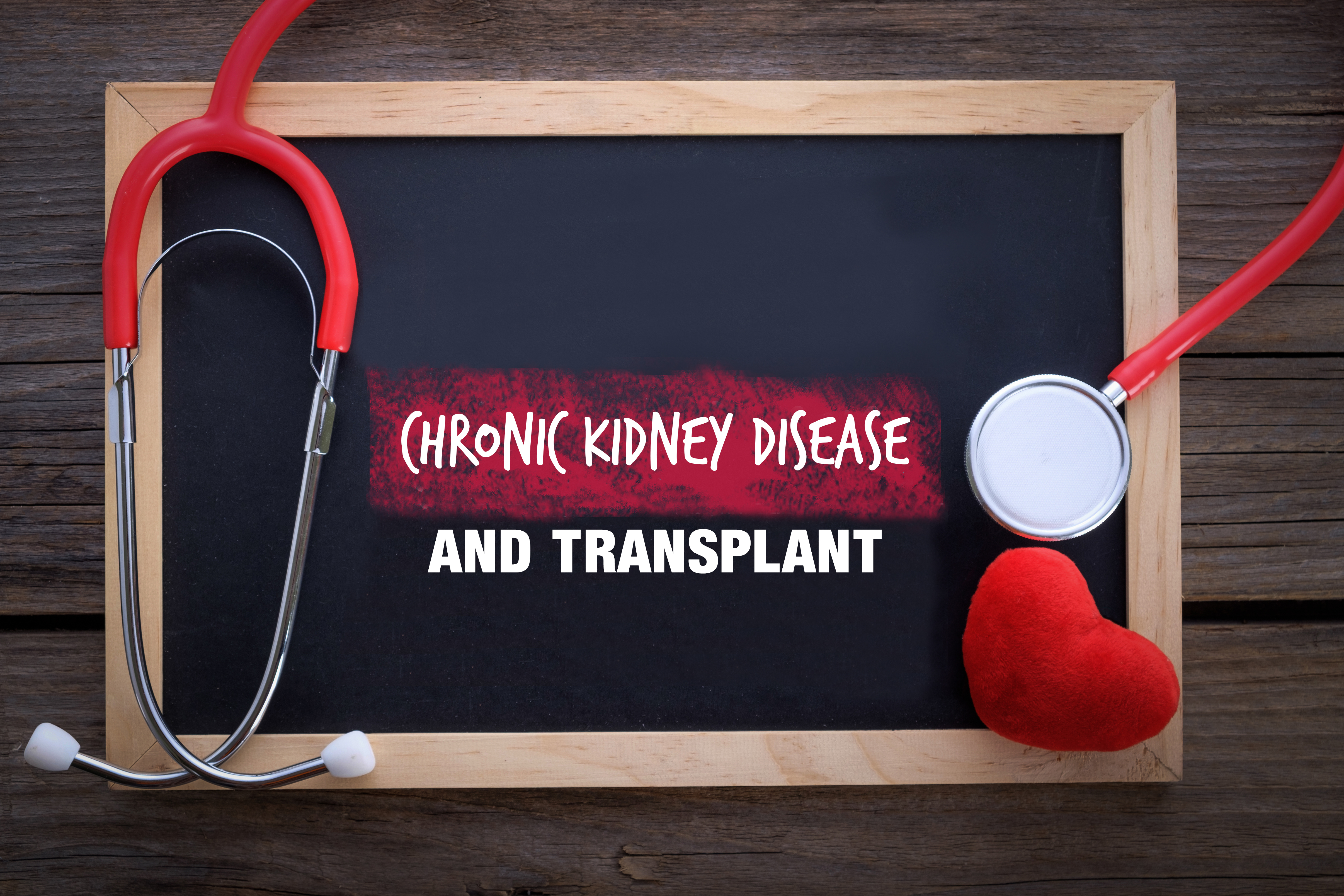 All you need to know about chronic kidney diseases and transplant