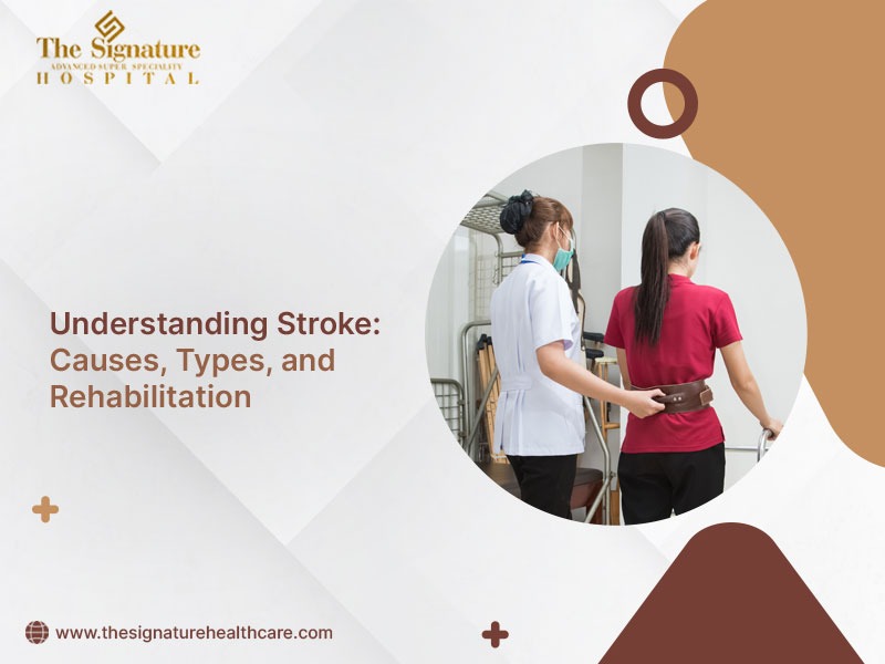 Understanding Stroke: Causes, Types, and Rehabilitation