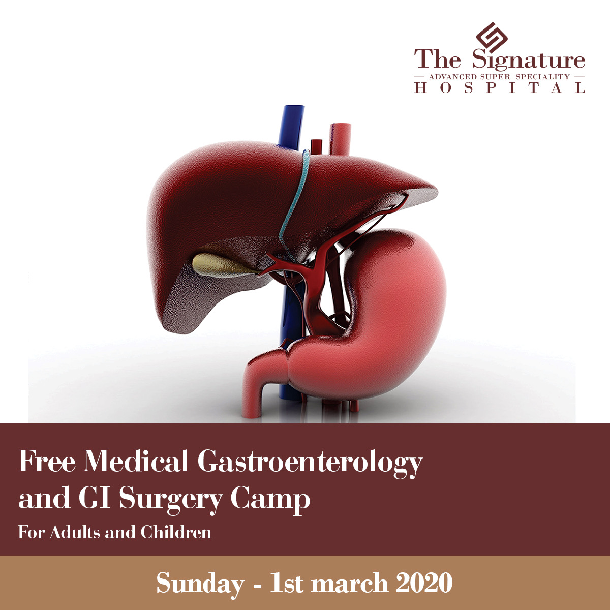 Free Medical Gastroenterology  and GI Surgery Camp